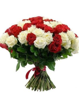 101 Red and White Roses