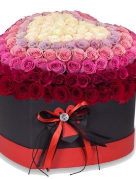 5 Color Roses in Heart Box