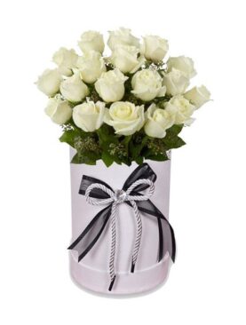 White and White Roses